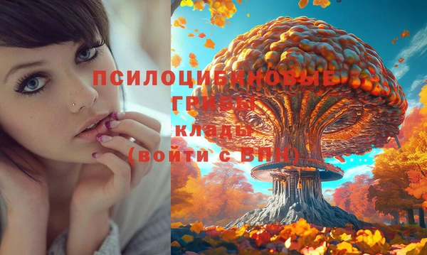 каннабис Осинники