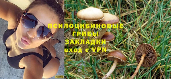 крисы Осташков